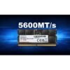 MEMORIA ADATA UDIMM 16GB DDR5 5600MHZ MEMORIA ADATA UDIMM 16GB DDR5 5600MHZ